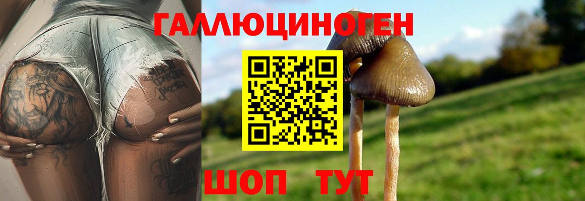 Псилоцибиновые грибы прущие грибы  Псилоцибиновые грибы Magic Shrooms  Темрюк  Вход с VPN 